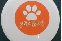 액체괴물(완구)