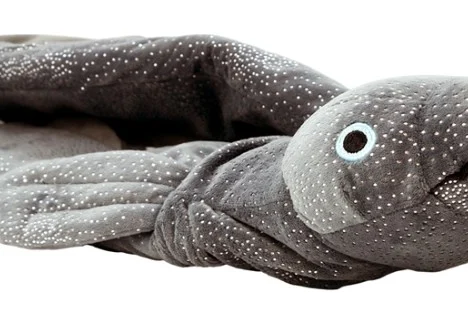 Hot Water Bottle