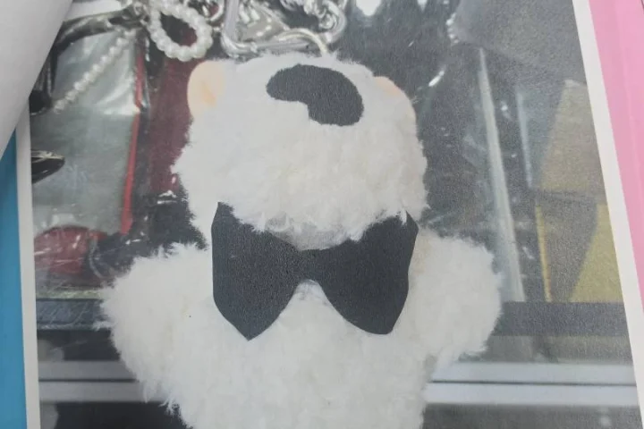 Porte-cle peluche ourson blanc a lunettes
