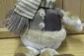 완구 (인형)