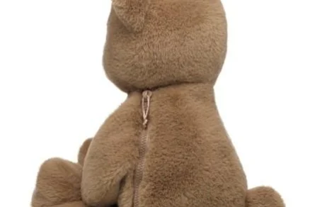 곰 모양 봉제인형