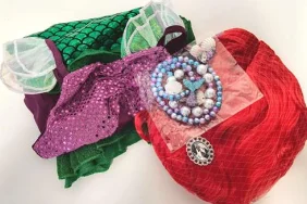 Mermaid Princess Dress