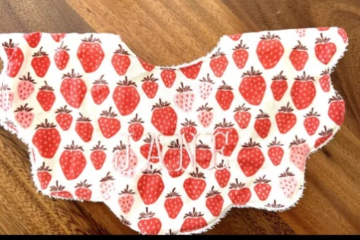 Personalized Baby Bibs and Stroller Bags